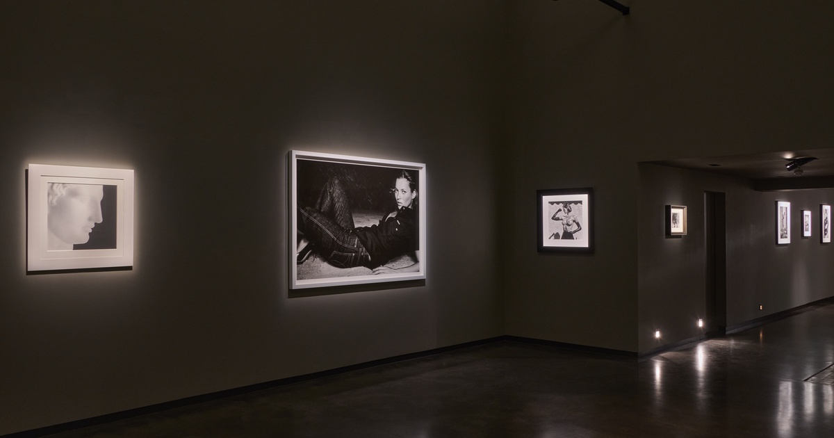 Mario Testino - Exhibitions | Hamiltons